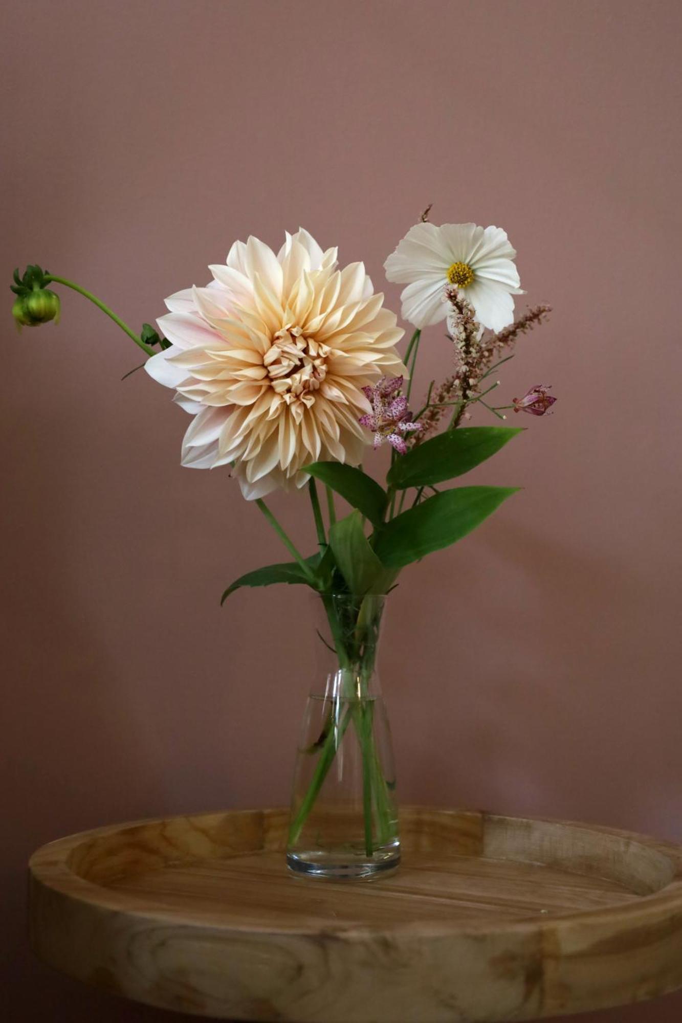 Bij Joseph Bed and Breakfast 's-Hertogenbosch  Εξωτερικό φωτογραφία